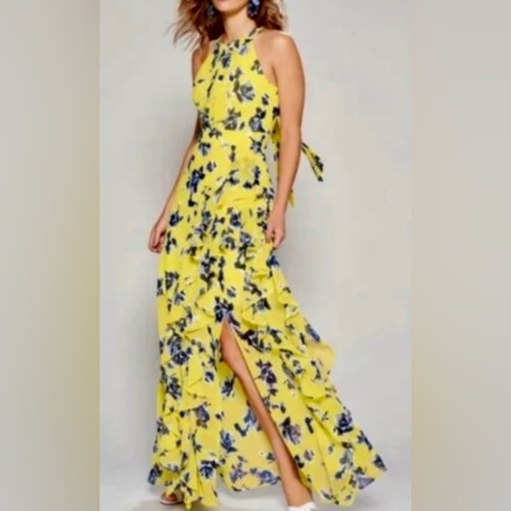 Gorgeous Eliza J Formal Summer Dress